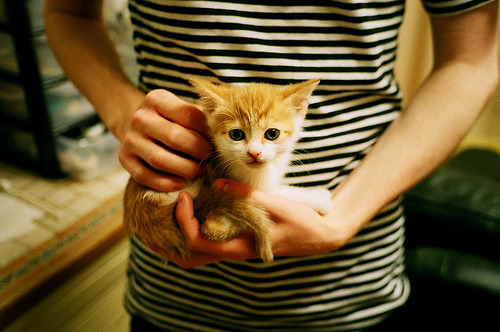 中国女篮国际比赛战绩显著提升，中国女篮国际比赛最好成绩