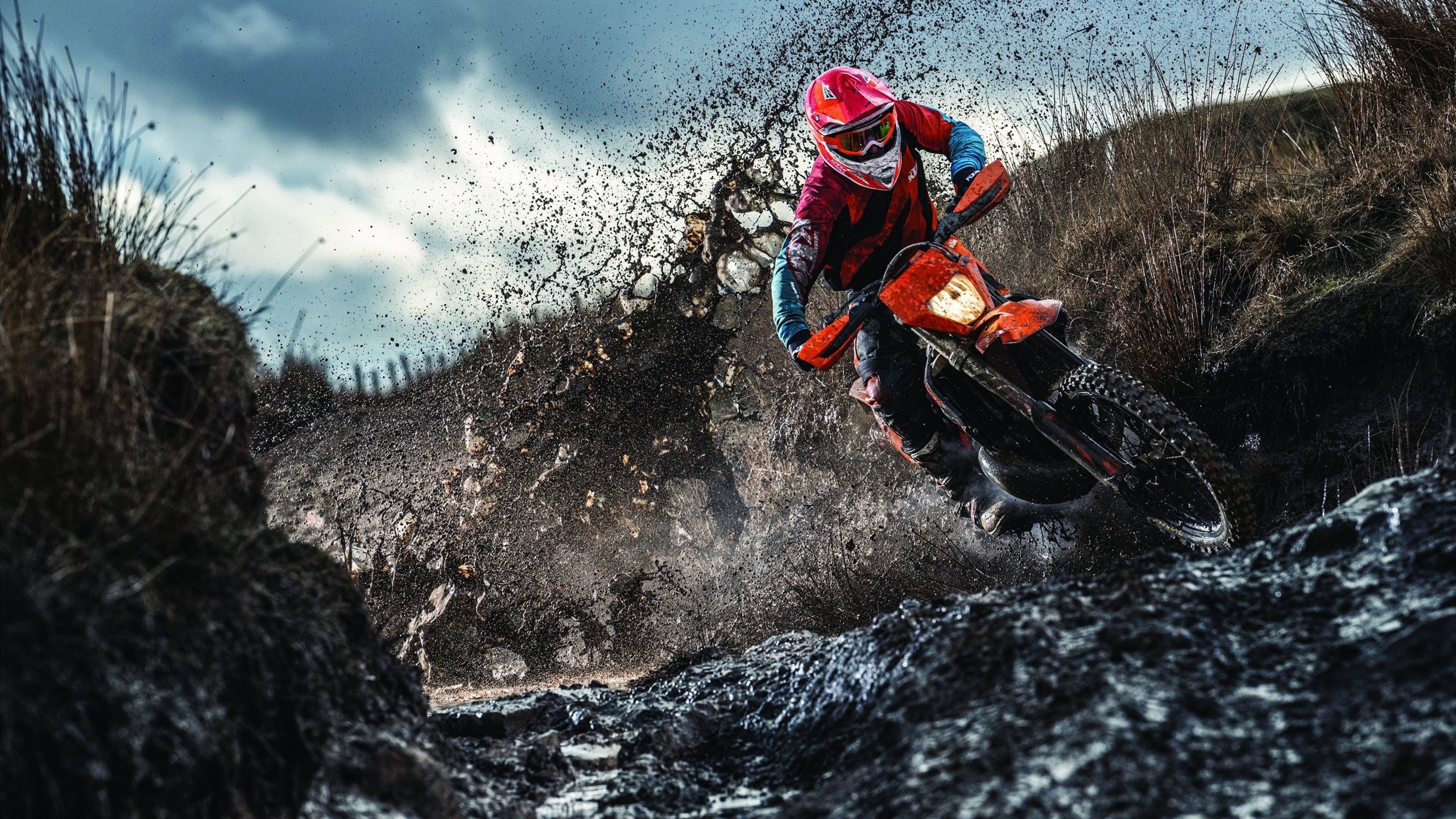 墨西哥马术队在巴黎奥运会盛装舞步赛中获得第十名,成绩可圈可点。