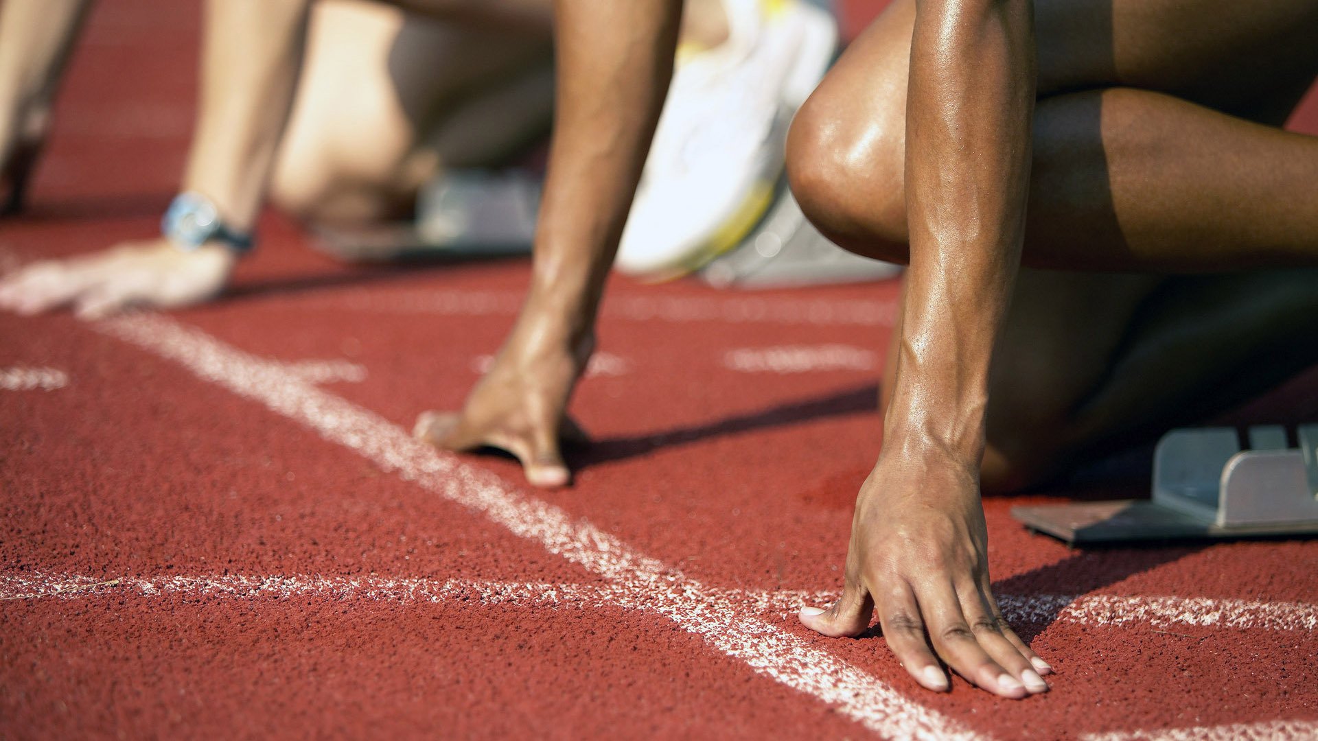 中国女排出战前集体合影致敬前辈，中国女排出征队员名单